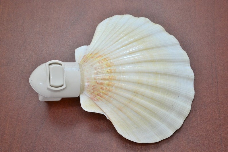 DEEP SCALLOP Sea Shell NIGHTLIGHT