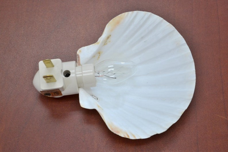 DEEP SCALLOP Sea Shell NIGHTLIGHT